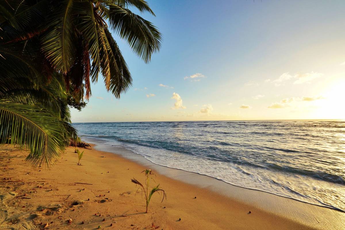 Afiafi Hotel gallery image