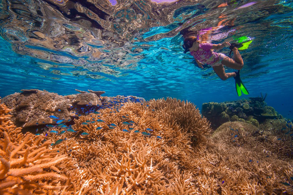 Matafonua Accommodation Scuba Diving