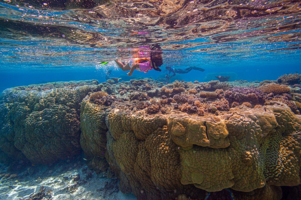 Sandy Beach Resort Snorkelling