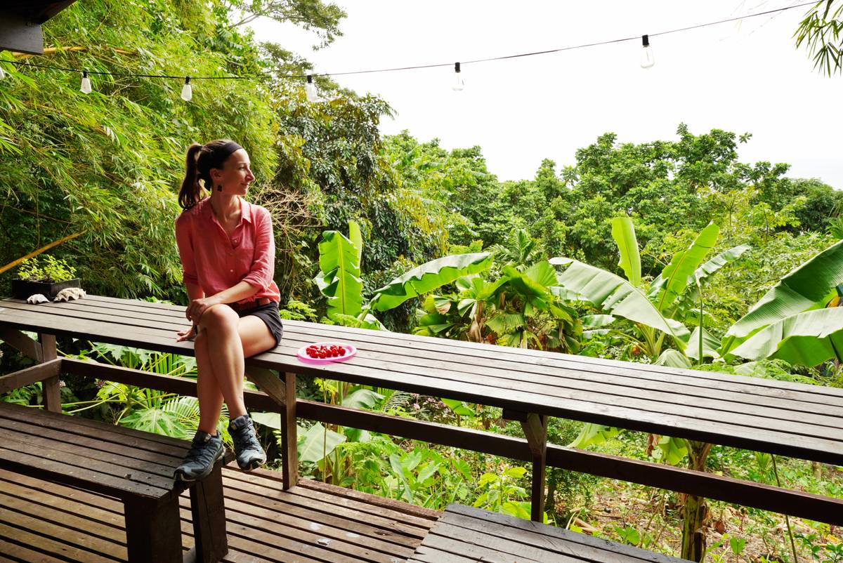Hidden Hibiscus Cabin Accommodation