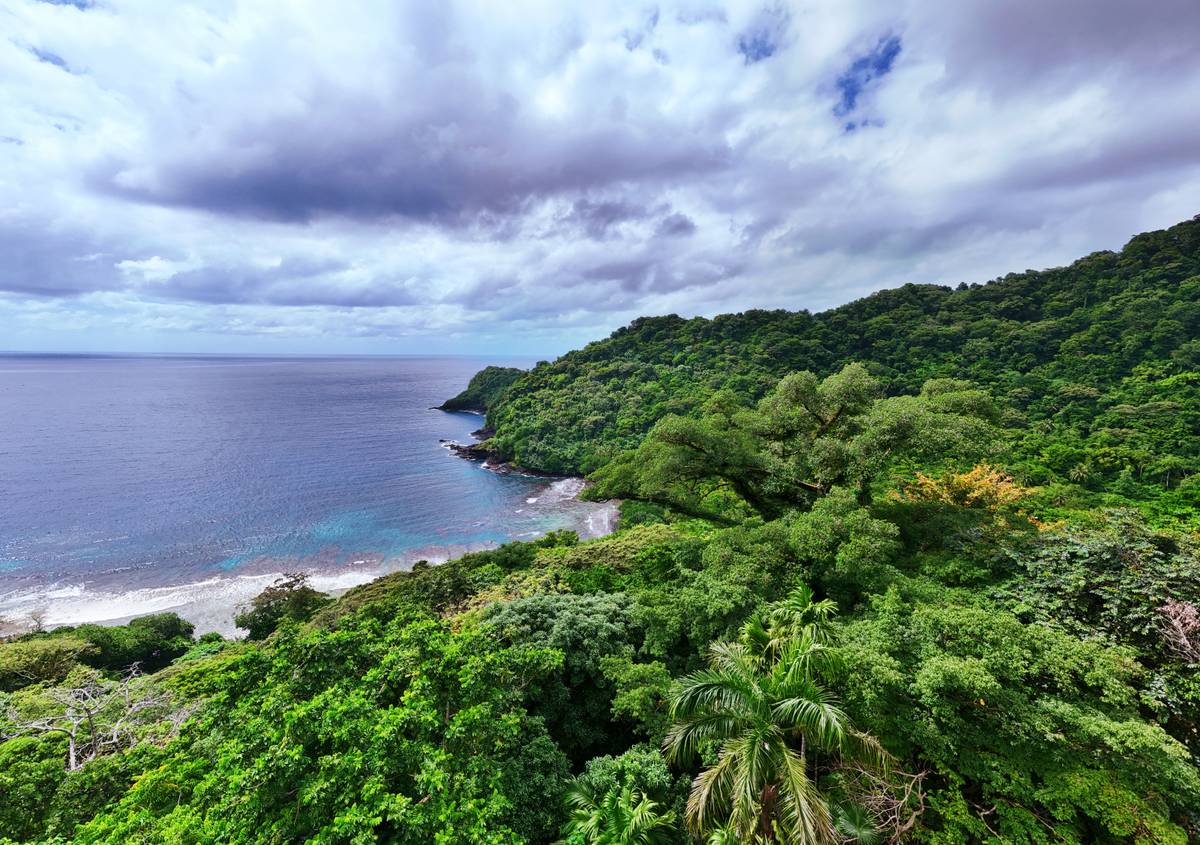Hidden Hibiscus Cabin Views