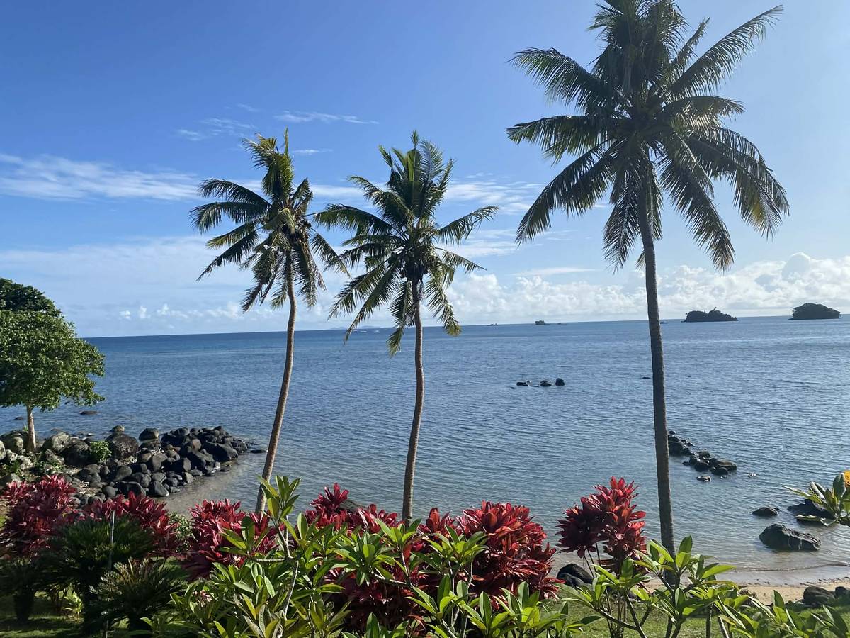 Ocean views from our tropical garden