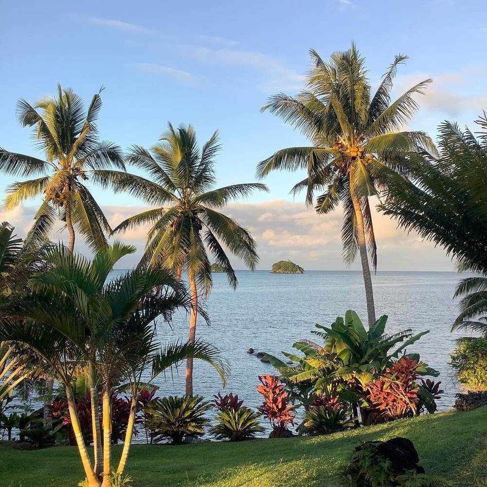 Ocean views from our tropical garden