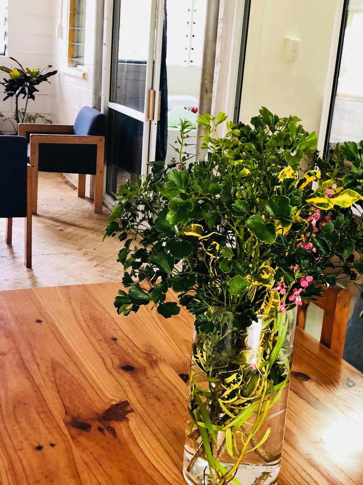 Come to Tonga to experience Paea's Guest House
