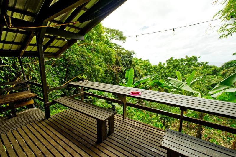Come to American Samoa to experience Hidden Hibiscus