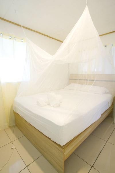 Come to Tonga to experience Lata 'A Lupe