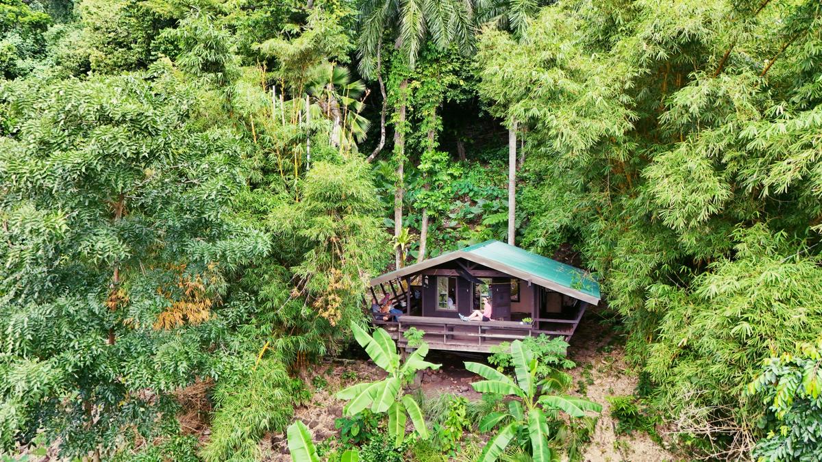 Come to American Samoa to experience Hidden Hibiscus
