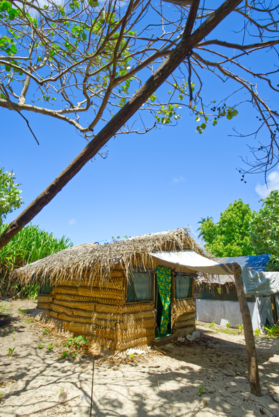 Come to Tonga to experience Velonika Guesthouse