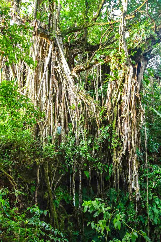 Come to Trip Carver to experience Blue Water Retreat