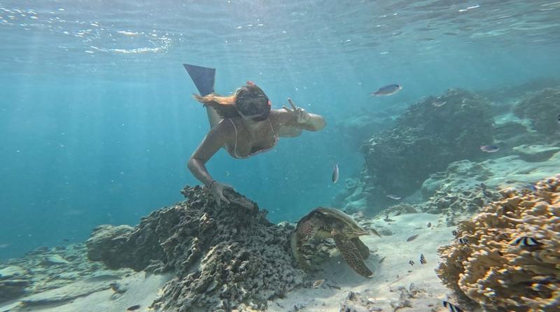 Come to Cook Islands to experience Green Turtle Tours