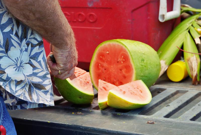 Come to American Samoa to experience North Shore Tours