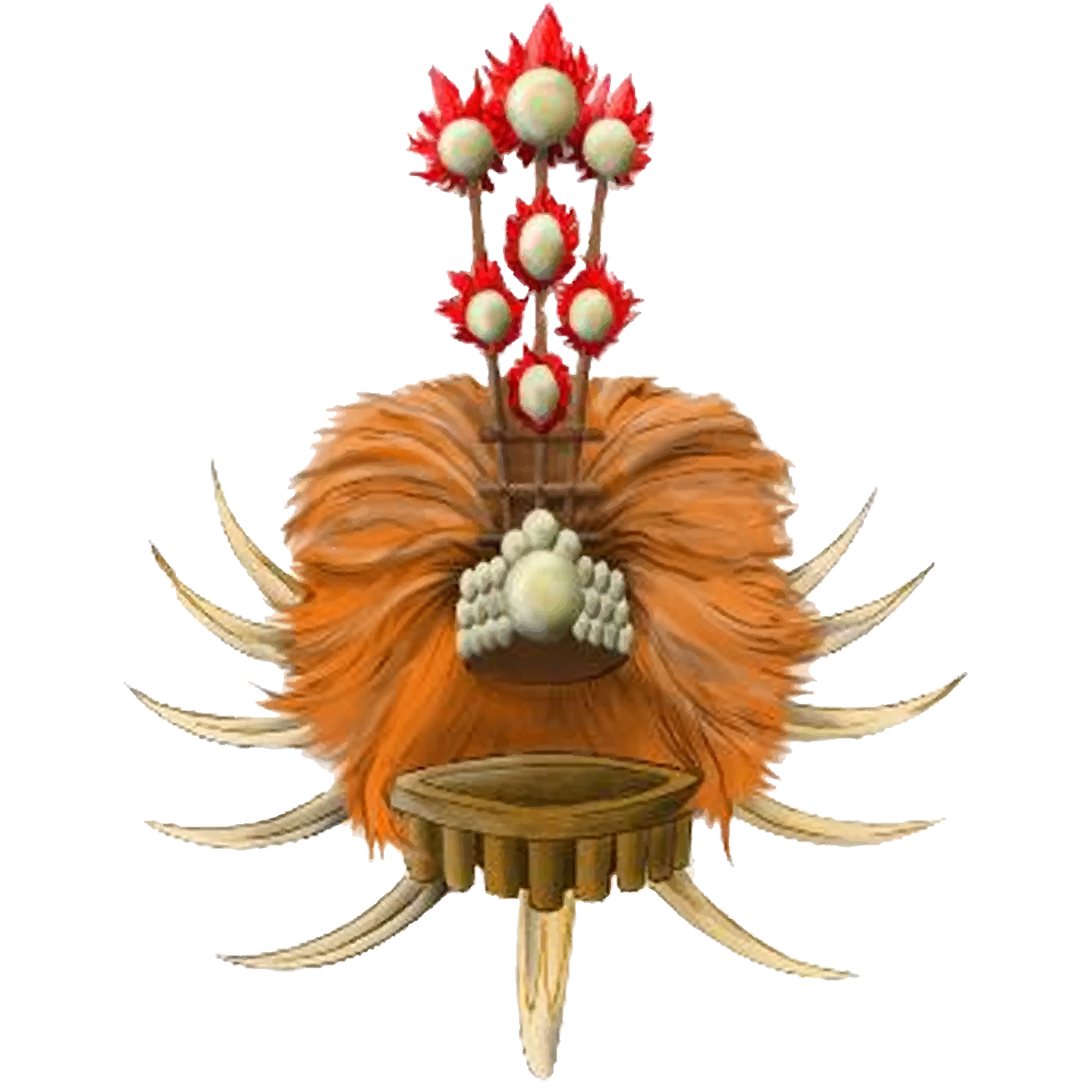 Registered with the American Samoa Visitor Bureau for Vaoto Lodge in American Samoa