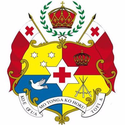 Certified Whale Watching and Swimming Guide for Robino's Tours Extravaganza in Trip Carver