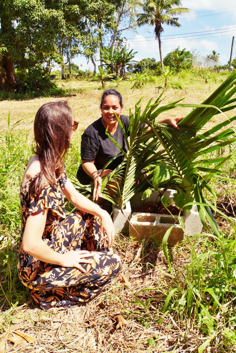 Tinopai Farm on the Lagoon