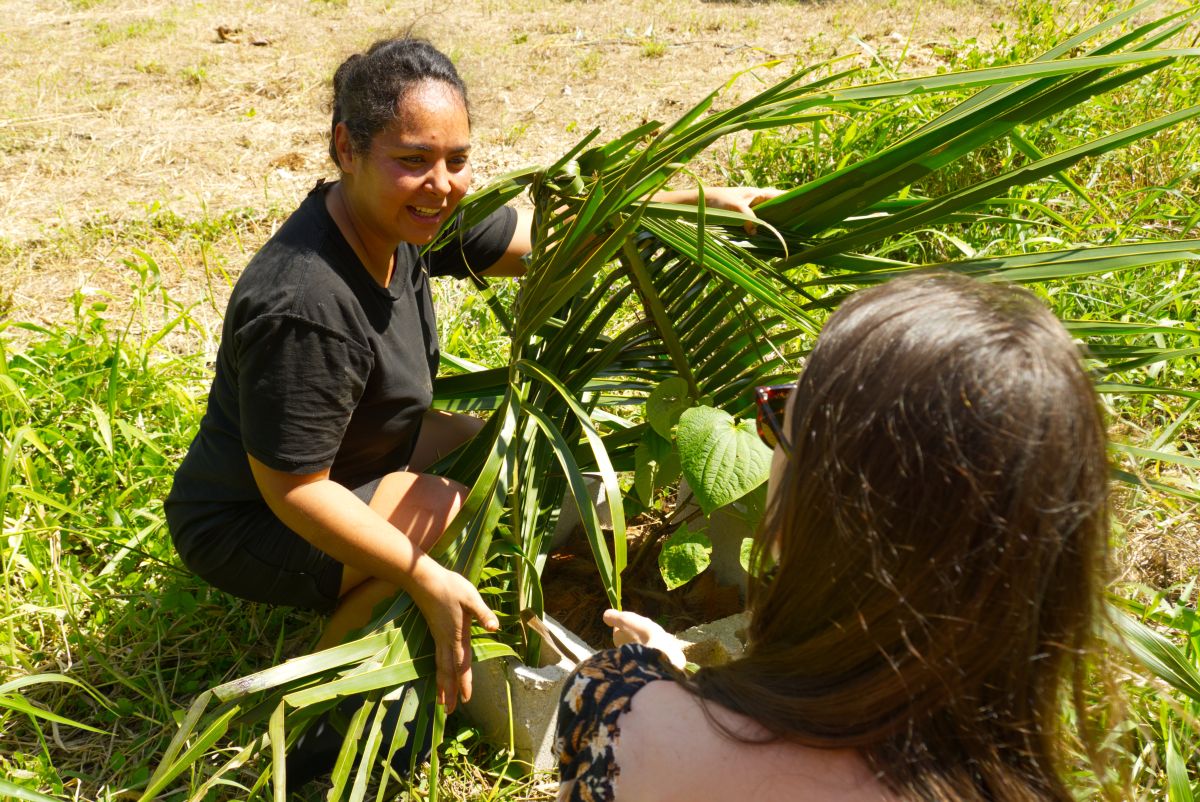 Our Coffee, Coconuts and Everyday Work