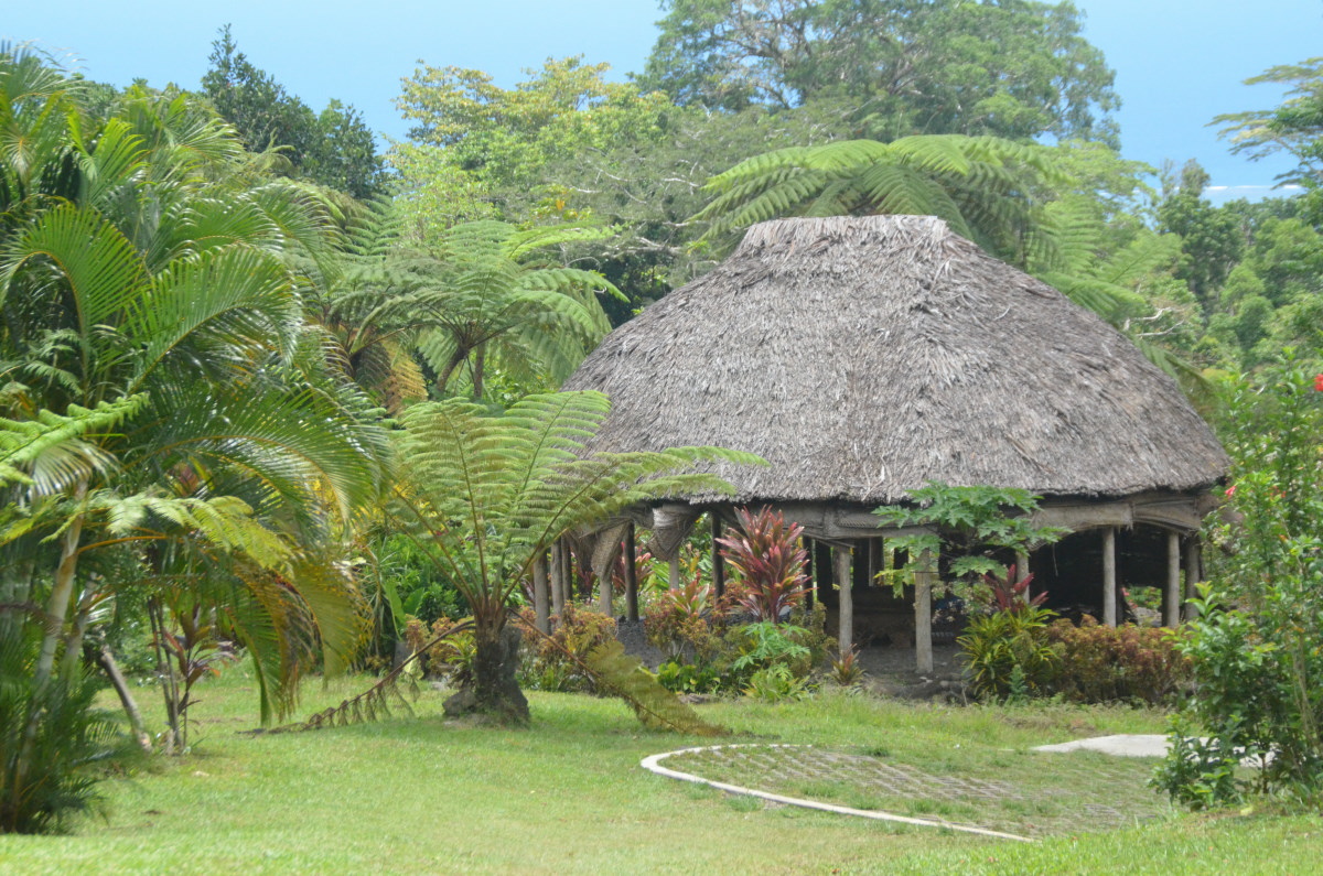 Tiapapata Art Centre image