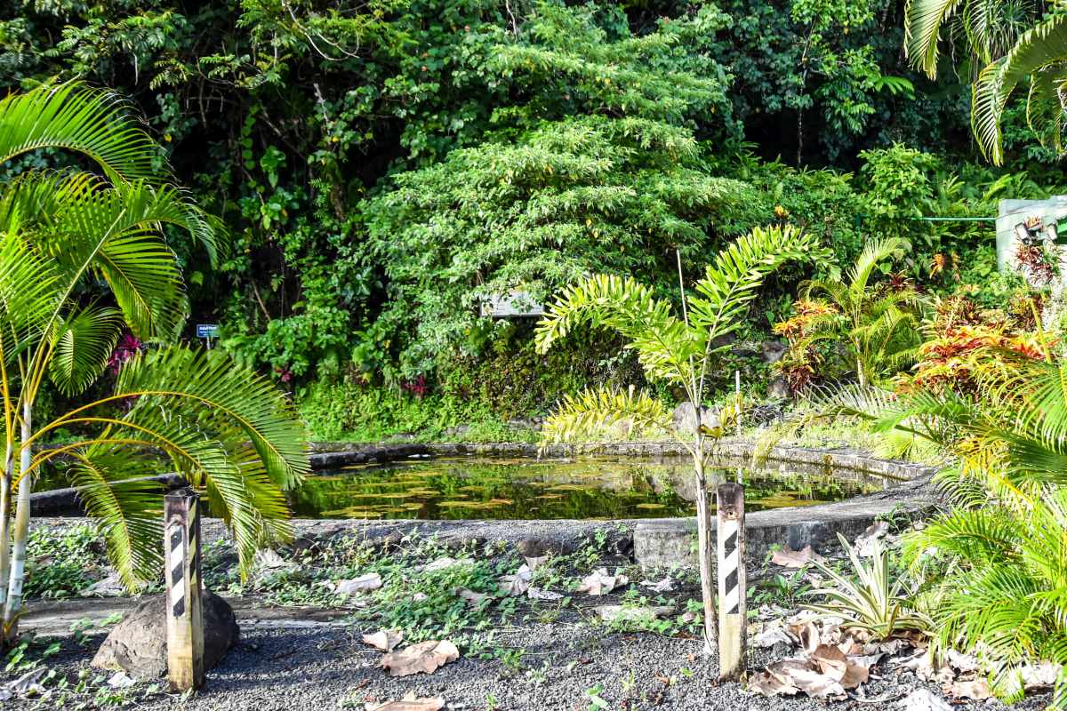 Lepa Freshwater Pool image