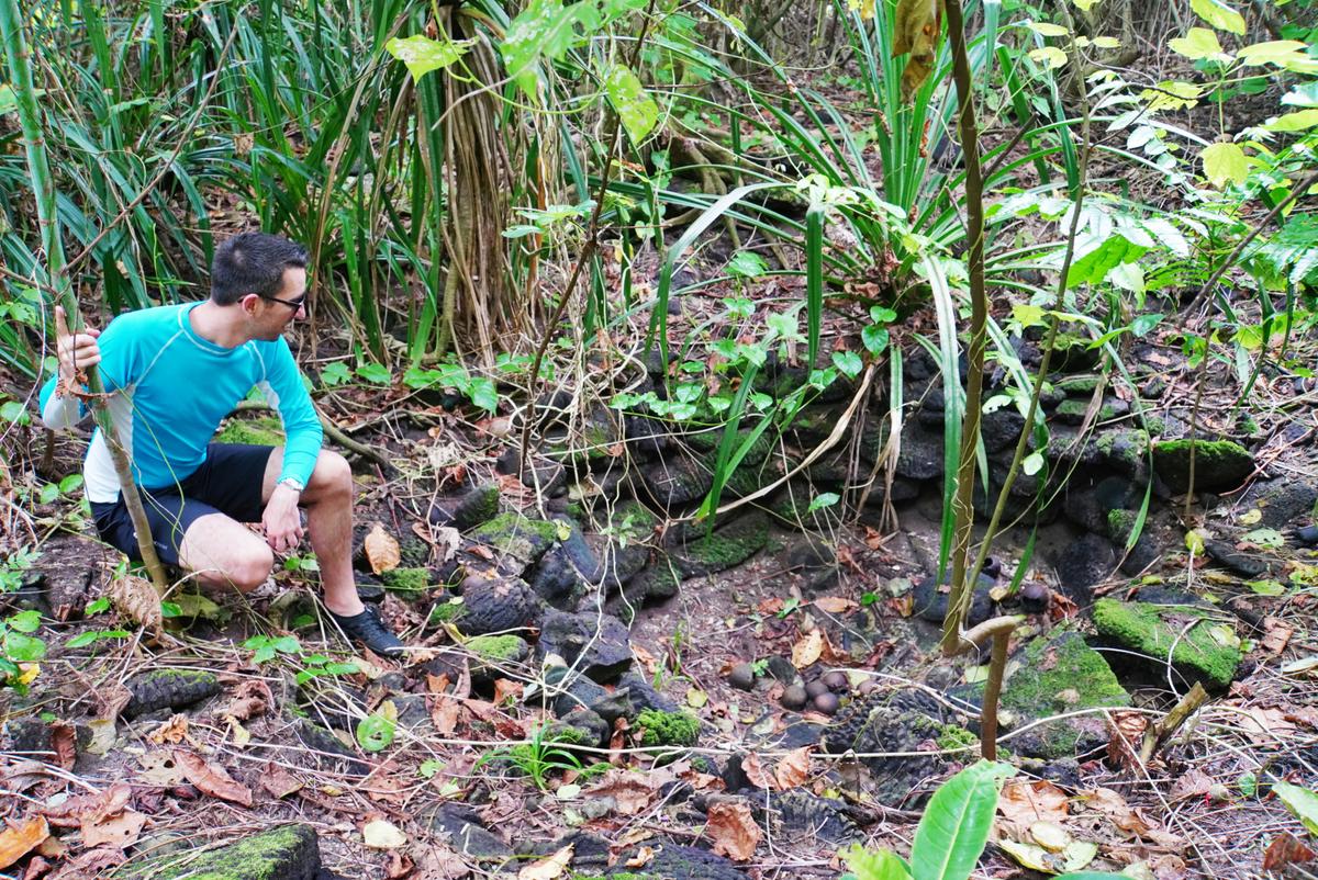 Saua Village Well #1 image