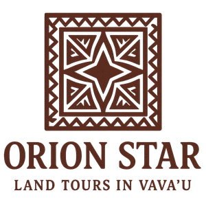 Business logo - Orion Star Tours