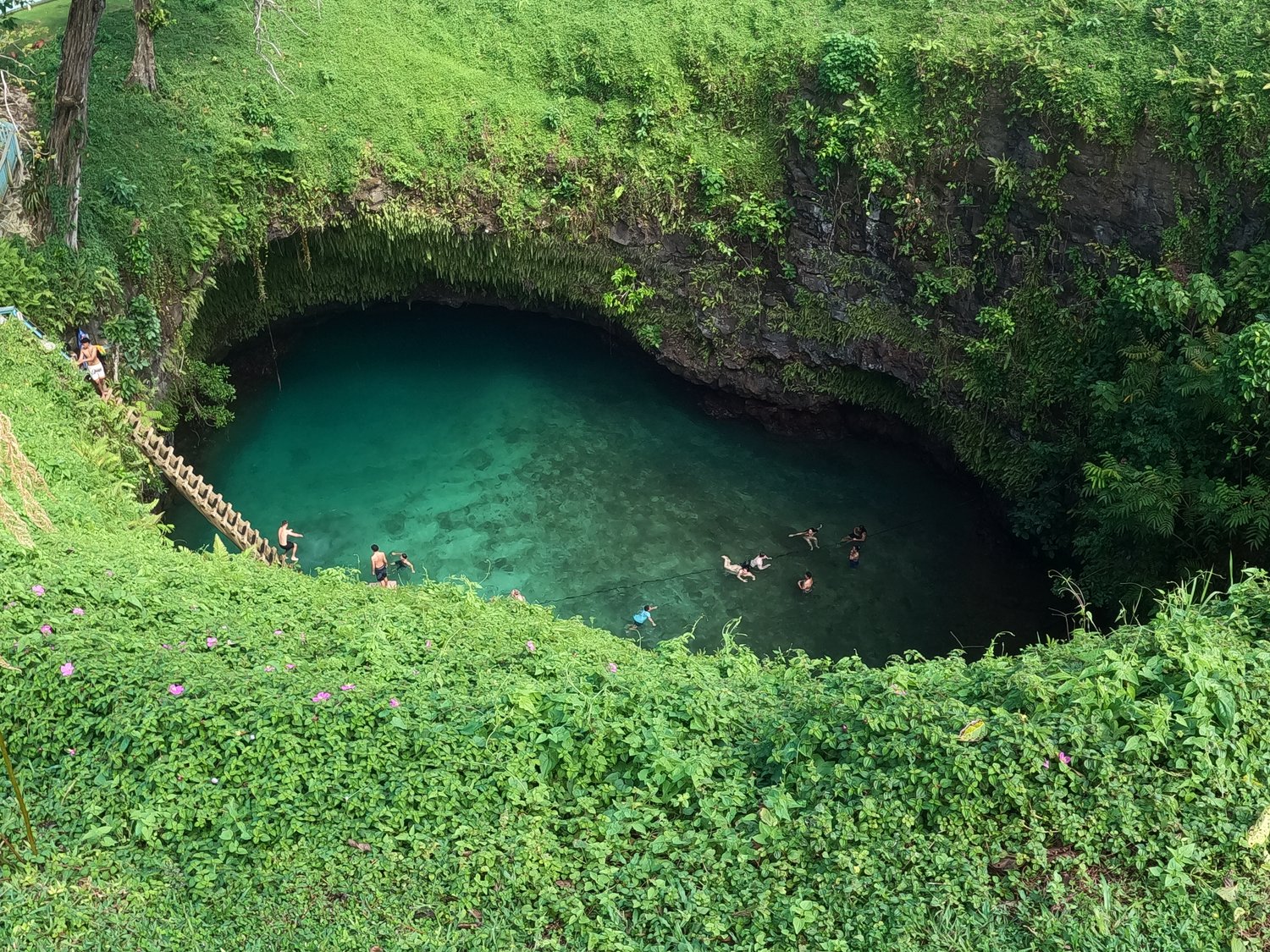 Full Day Tour gallery image, book with Samoa Surf & Turf Tours