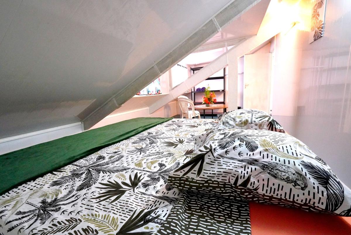 Tolu (Large Room) offered by Motu Location