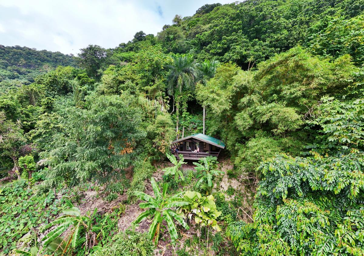 Cabin offered by Hidden Hibiscus