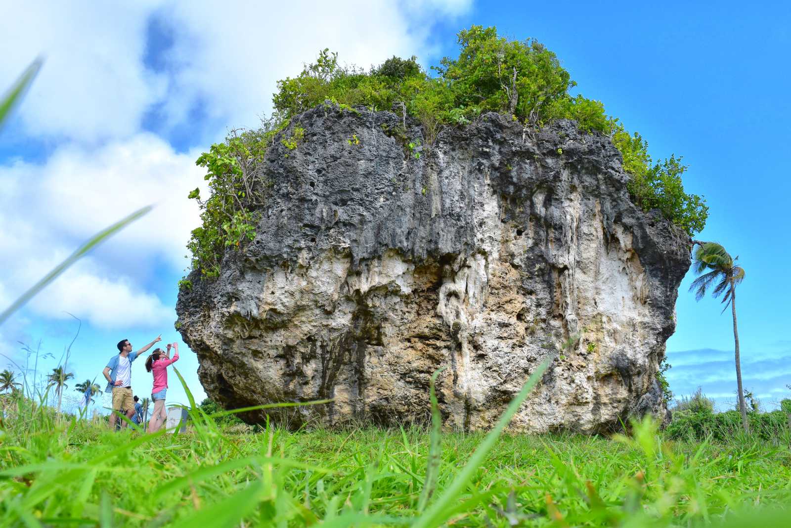 Half Day Tour of Tongatapu offered by Tonga Holiday Villa