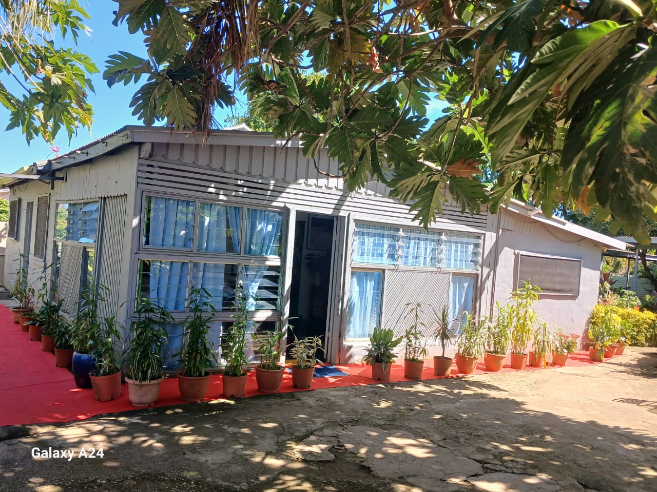 Green House (Dorm Room) offered by Toni's Guesthouse