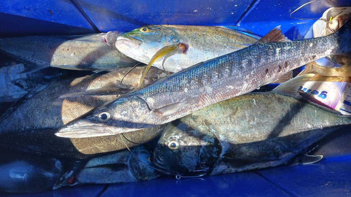 Photography Fishing Tour