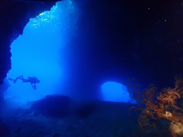 2-Day 5-Dive Package (DEMA Special) offered by AX-Factor Dive