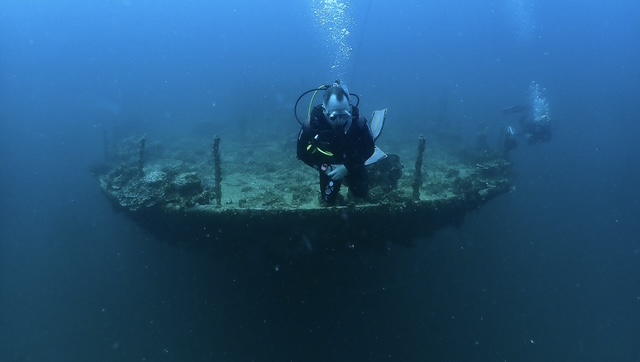 Ultimate Package: 4 Days, 8 Dives + Accommodation offered by AX-Factor Dive