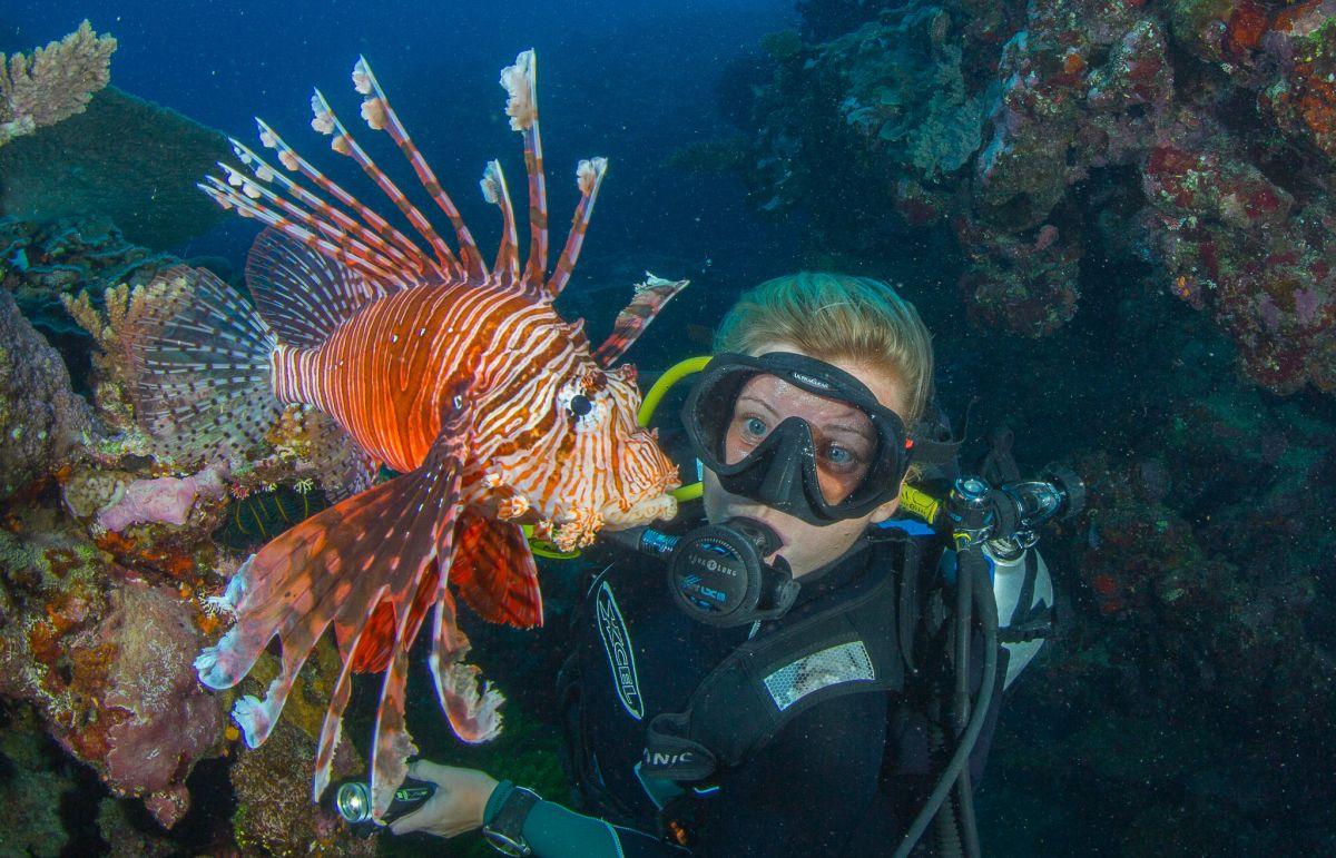 Two-Tank Scuba Dive in Ha'apai offered by Matafonua Lodge