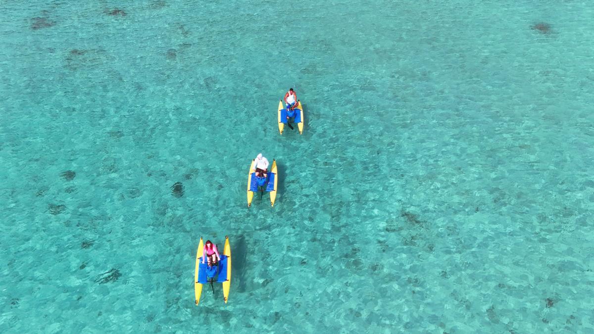 Saturday in the Bay Waterbike Adventure offered by Adventures Unlimited