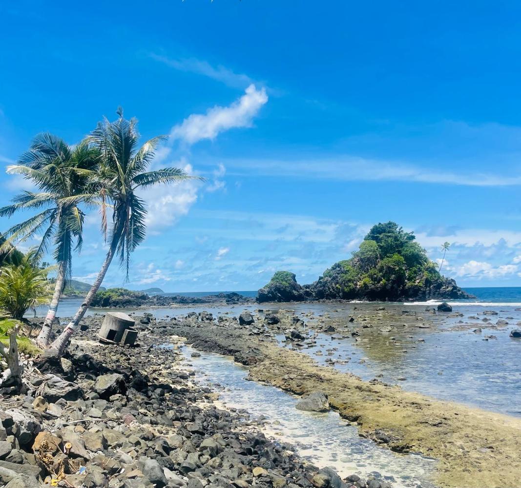 Scenic Coastal Adventure (East Side Tour) offered by Best Tours