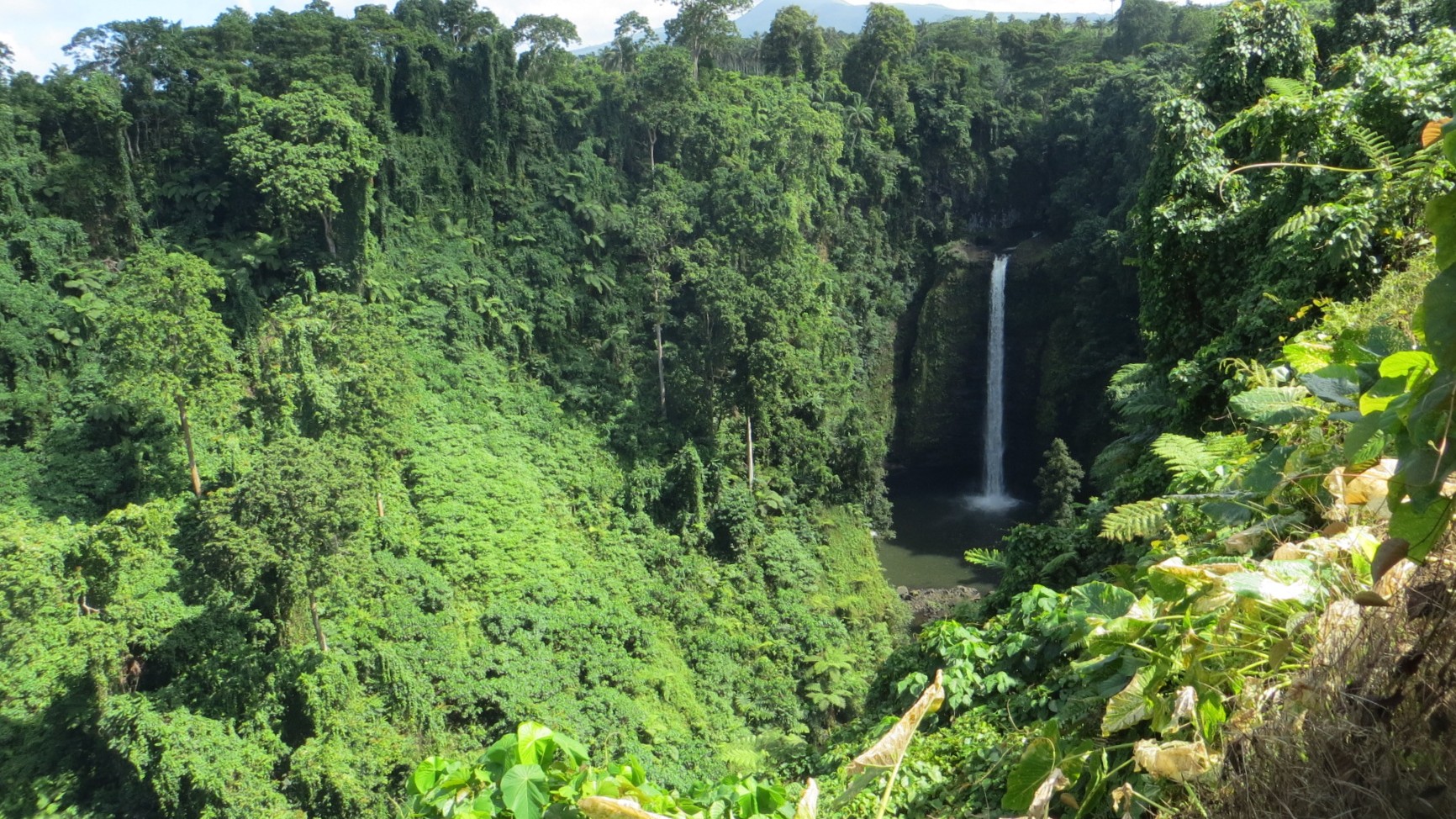 Review of Tai's Native Experience from undefined