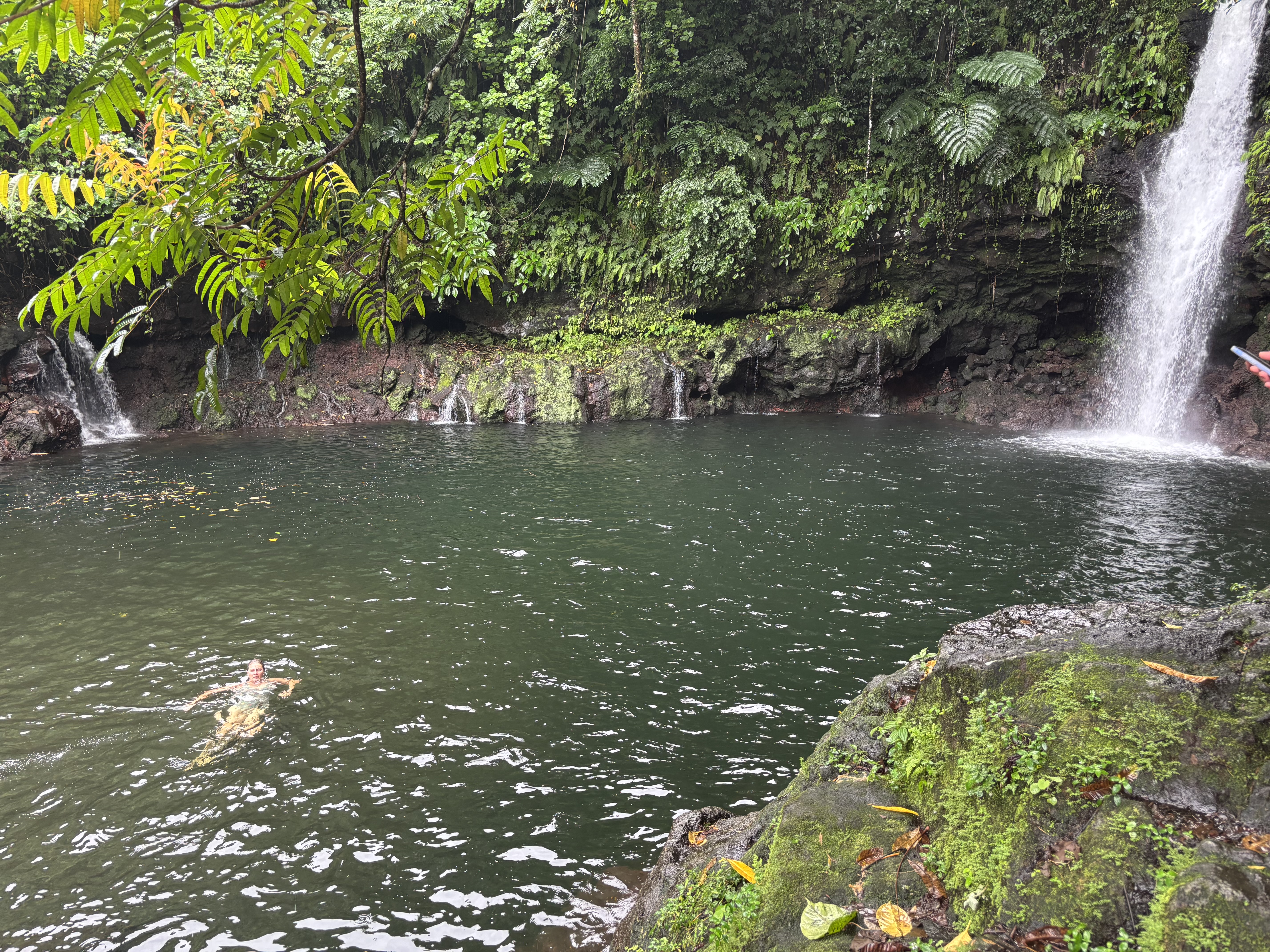 Review of Coconut Tours & Transport Samoa from undefined