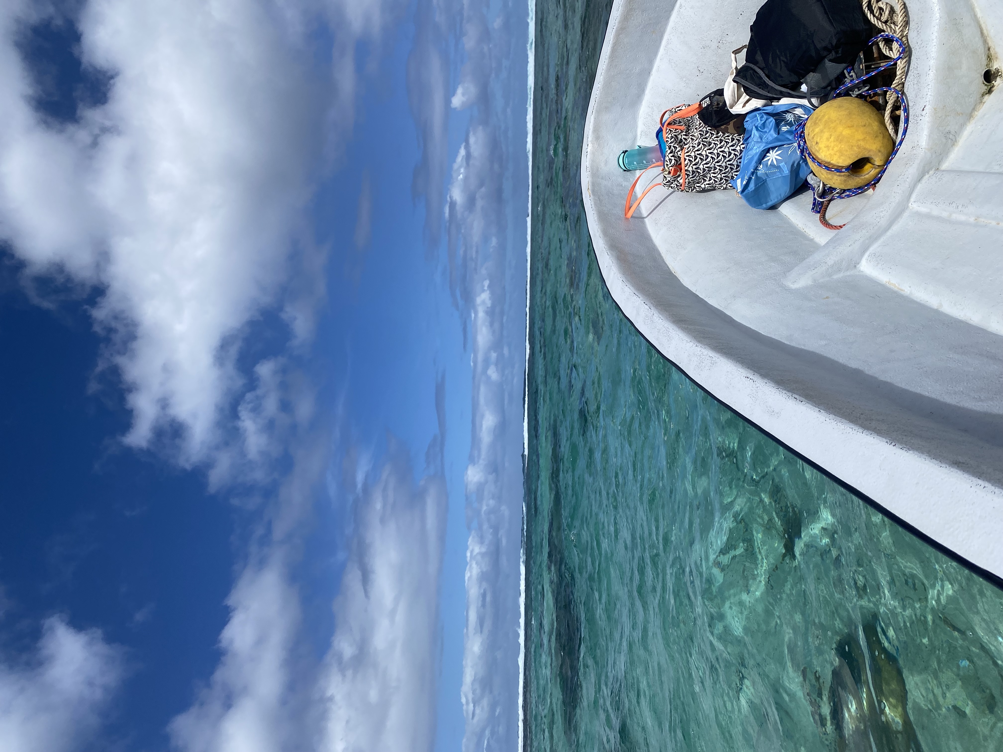Review of Manoa Tours from undefined