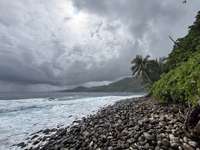 Review of North Shore Tours from undefined